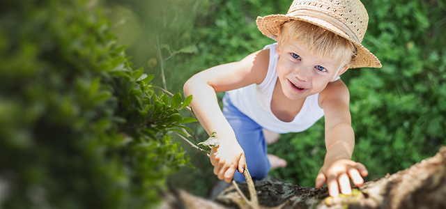 Kleiner Junge mit Strohhut versucht auf einen Baum zu klettern